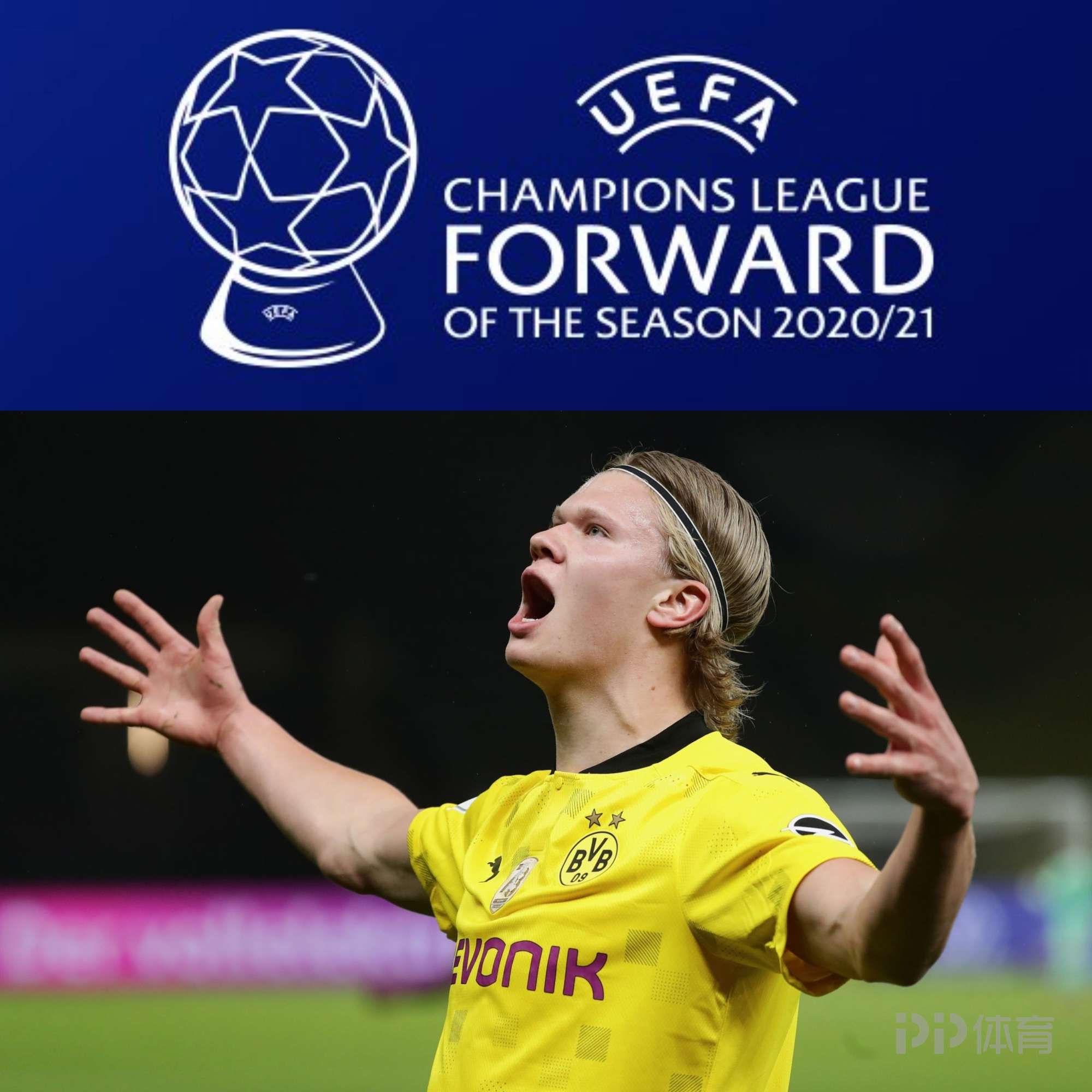 旅欧球员回 旅欧球员回